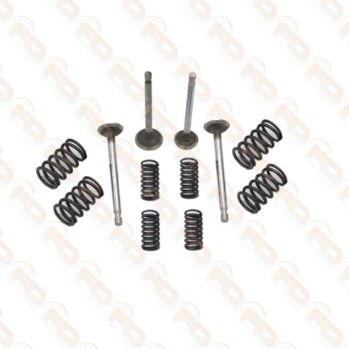 SET VALVOLE MAGGIORATE 34,5/30 E MOLLE VALVOLE 500 126